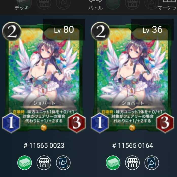 【2枚組】ショパート