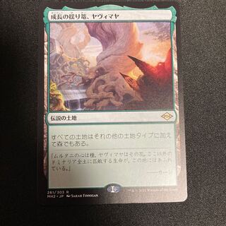 成長の揺り篭、ヤヴィマヤ　