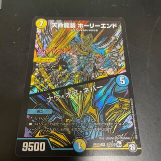 天命龍装 ホーリーエンド/ナウ・オア・ネバー  シク