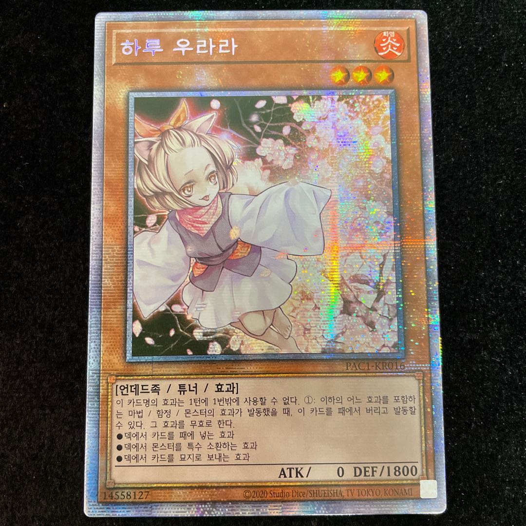 灰流うらら(韓国版) プリズマティックシークレット プリシク