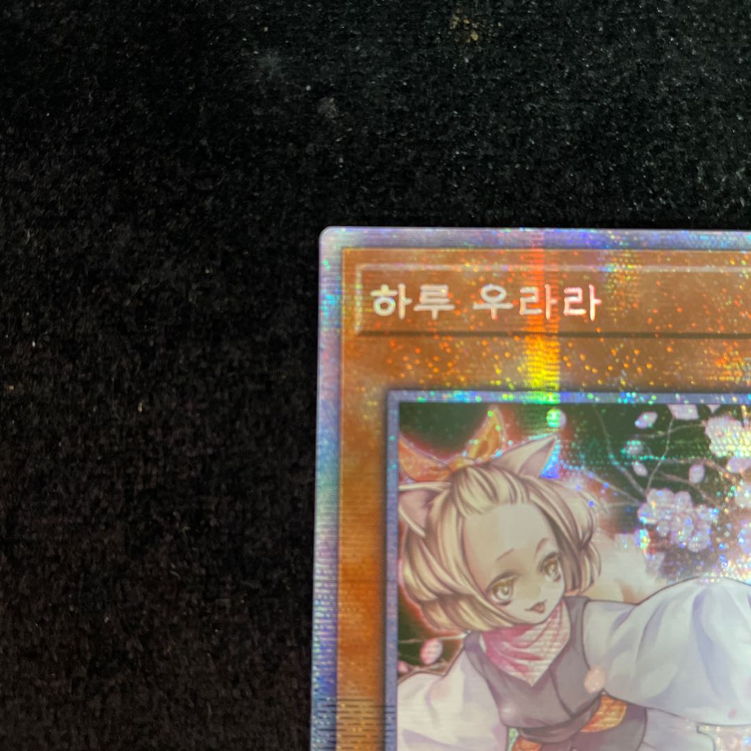 灰流うらら(韓国版) プリズマティックシークレット プリシク