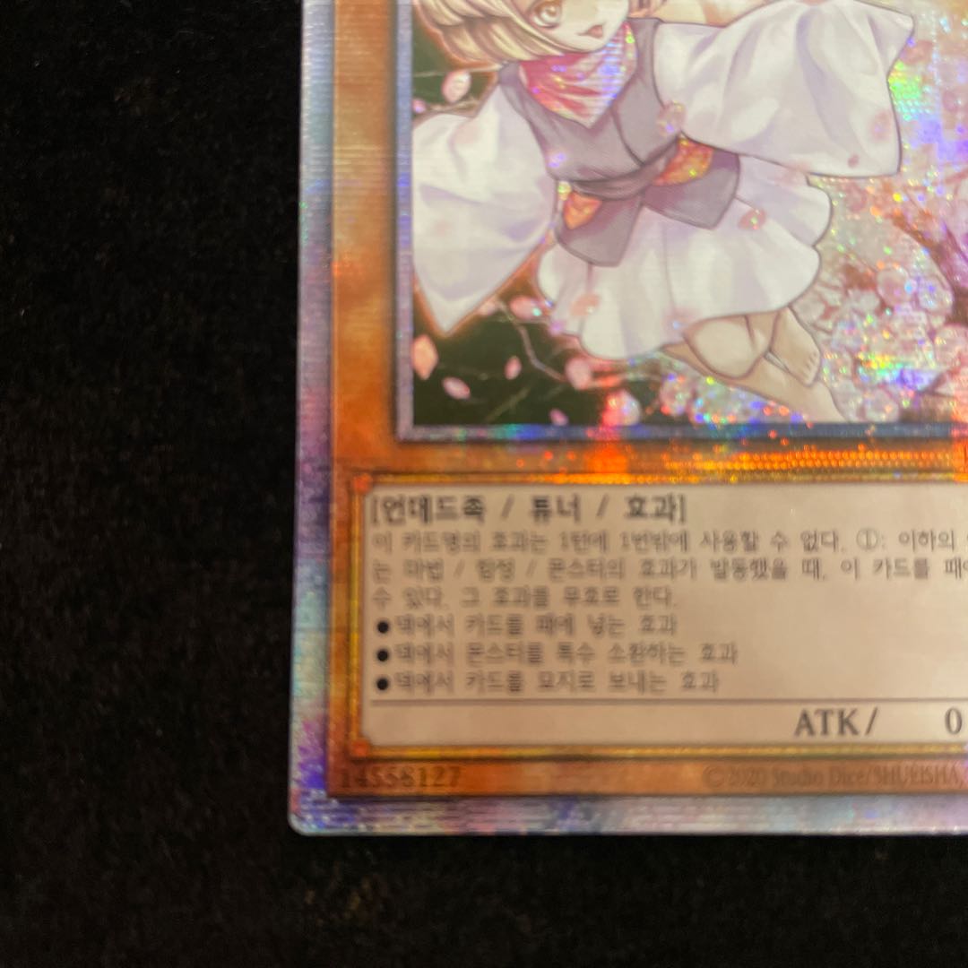 灰流うらら(韓国版) プリズマティックシークレット プリシク