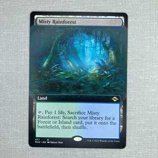 霧深い雨林/Misty Rainforest 英語 拡張アート③