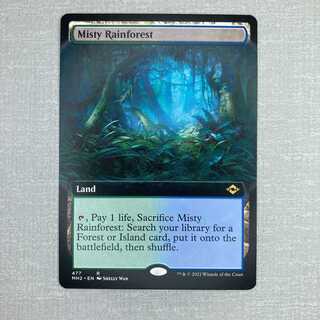 霧深い雨林/Misty Rainforest 英語 拡張アート②