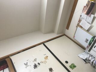 実験