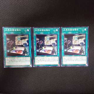 未界域調査報告