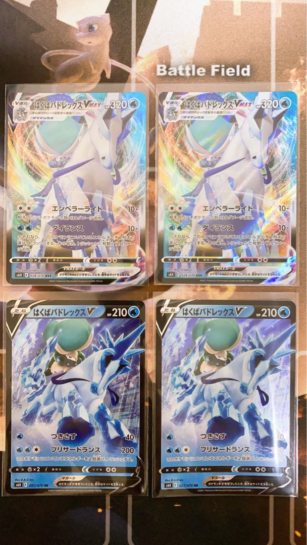 はくばバドレックスV + VMAX セット