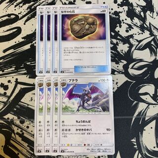 プテラ　なぞの化石