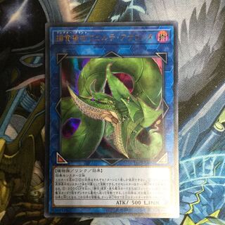 捕食植物ヴェルテ・アナコンダ ウルトラレア【06285-37】