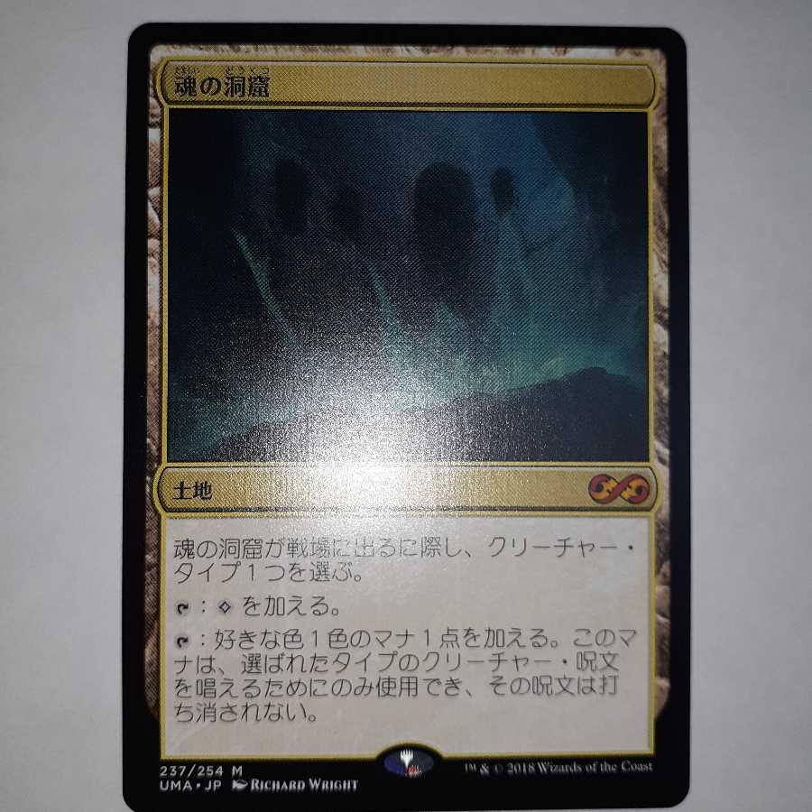 魂の洞窟　日本語1枚