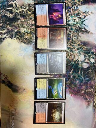 フェッチ・ショック・キャノピーランドセット 1枚