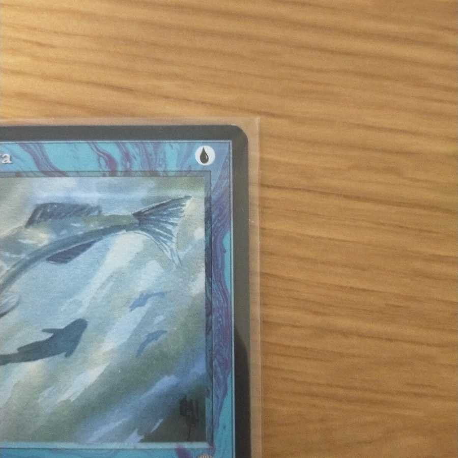 MTG Mystic Remora アイスエイジ英語版 1枚