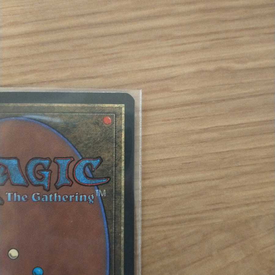 MTG Mystic Remora アイスエイジ英語版 1枚