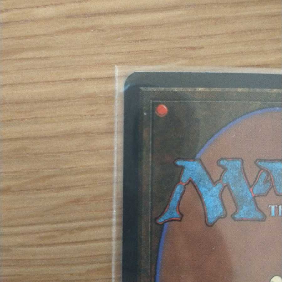 MTG Mystic Remora アイスエイジ英語版 1枚