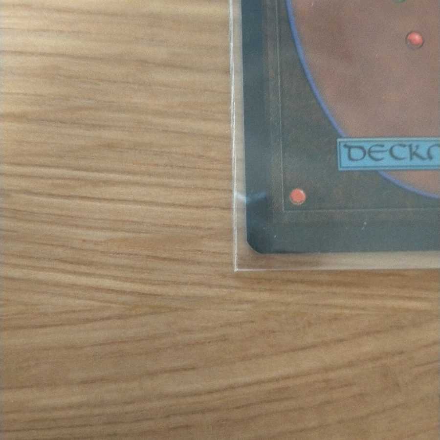 MTG Mystic Remora アイスエイジ英語版 1枚