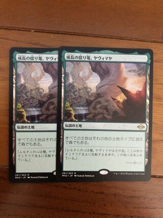 成長の揺り篭、ヤヴィマヤ　×2