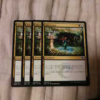 成長のらせん　４枚