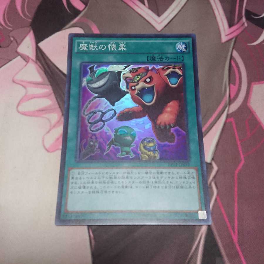 魔獣の懐柔 スーパーレア