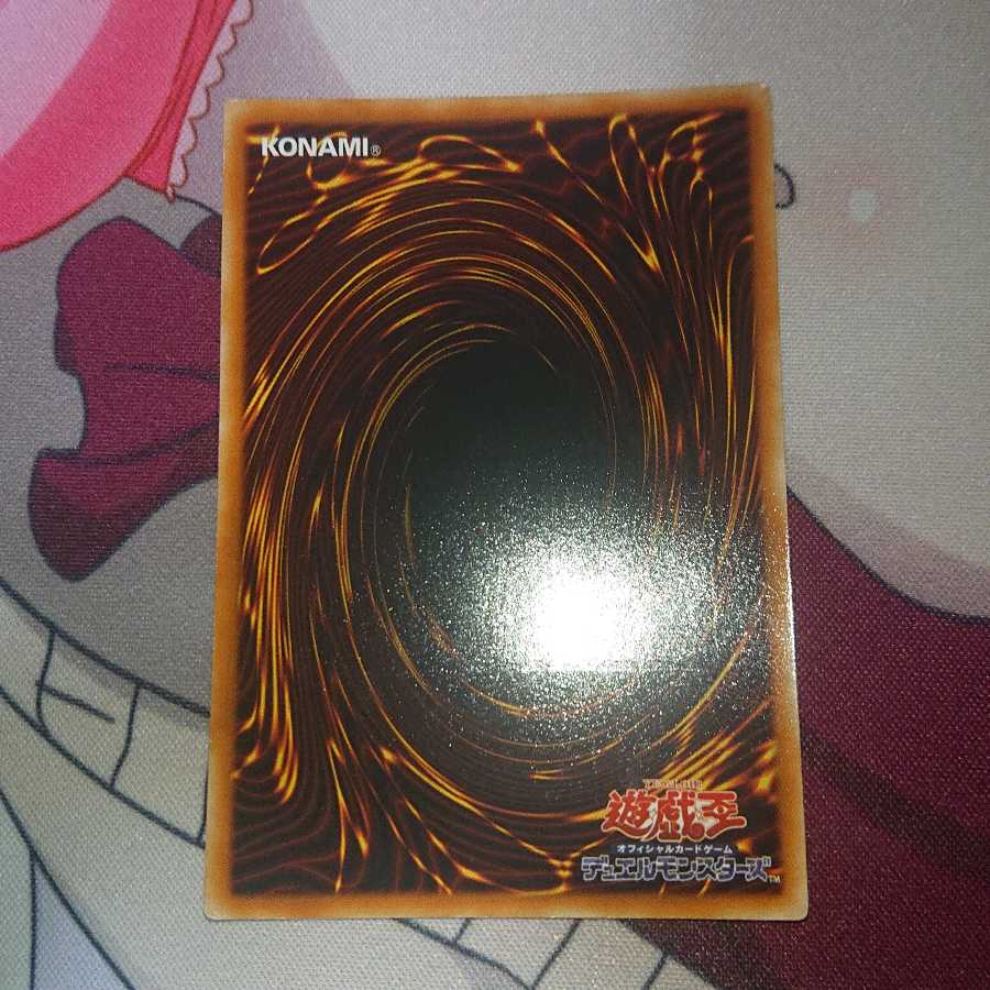 サイバー・シャドー・ガードナー