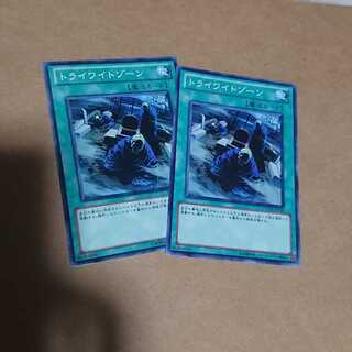 トライワイトゾーン