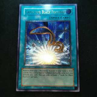遊戯王/黒羽の宝札/英語版/TSHD/レリーフ/即購入ok♪