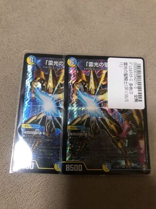 「雷光の聖騎士」