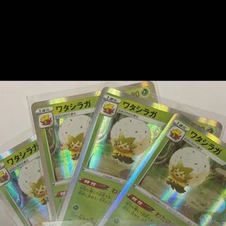 ワタシラガ４枚