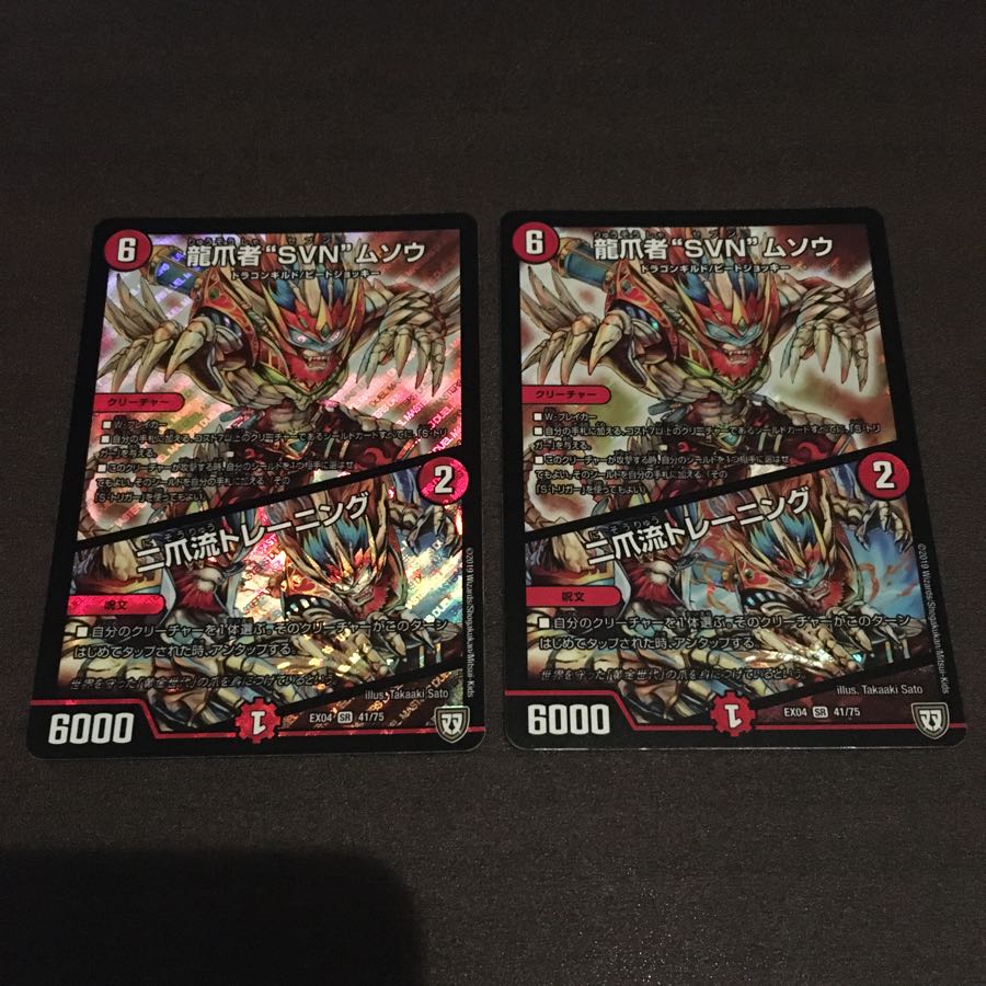 龍爪者SVNムソウ　二刀流トレーニング　2枚セット 2枚