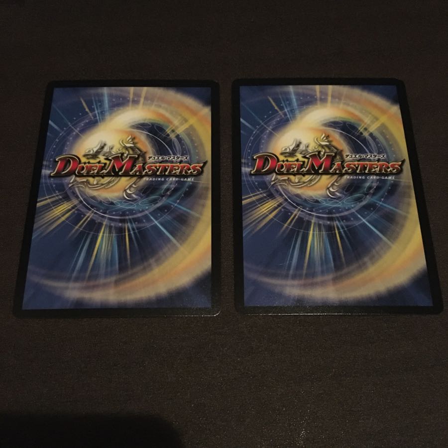 龍爪者SVNムソウ　二刀流トレーニング　2枚セット 2枚