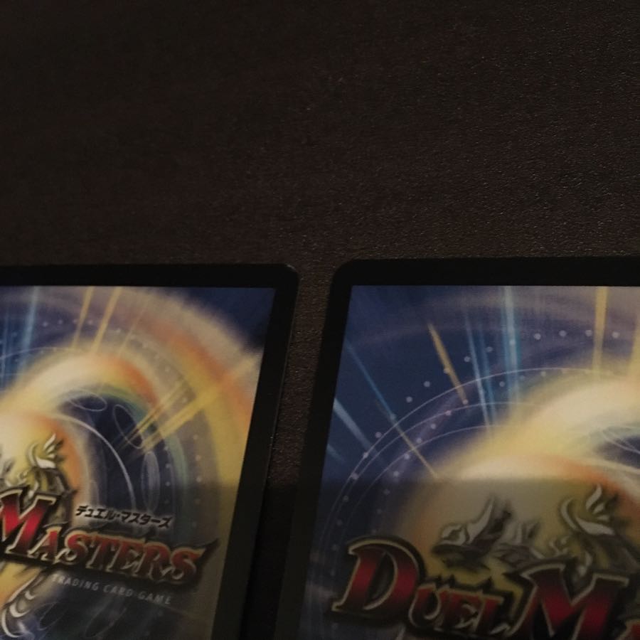 龍爪者SVNムソウ　二刀流トレーニング　2枚セット 2枚