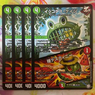 イッコダス・ケイジ｜種デスティニー