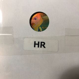 ミュウツー  HR