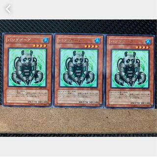 [Popotan] Yu-Gi-Oh! 2911 Pandaborg 3 cards Rare