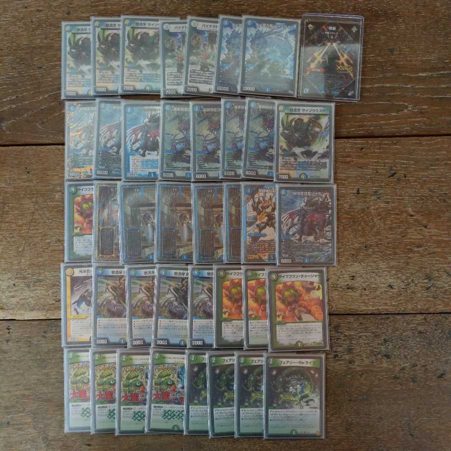 シノビシャコガイル