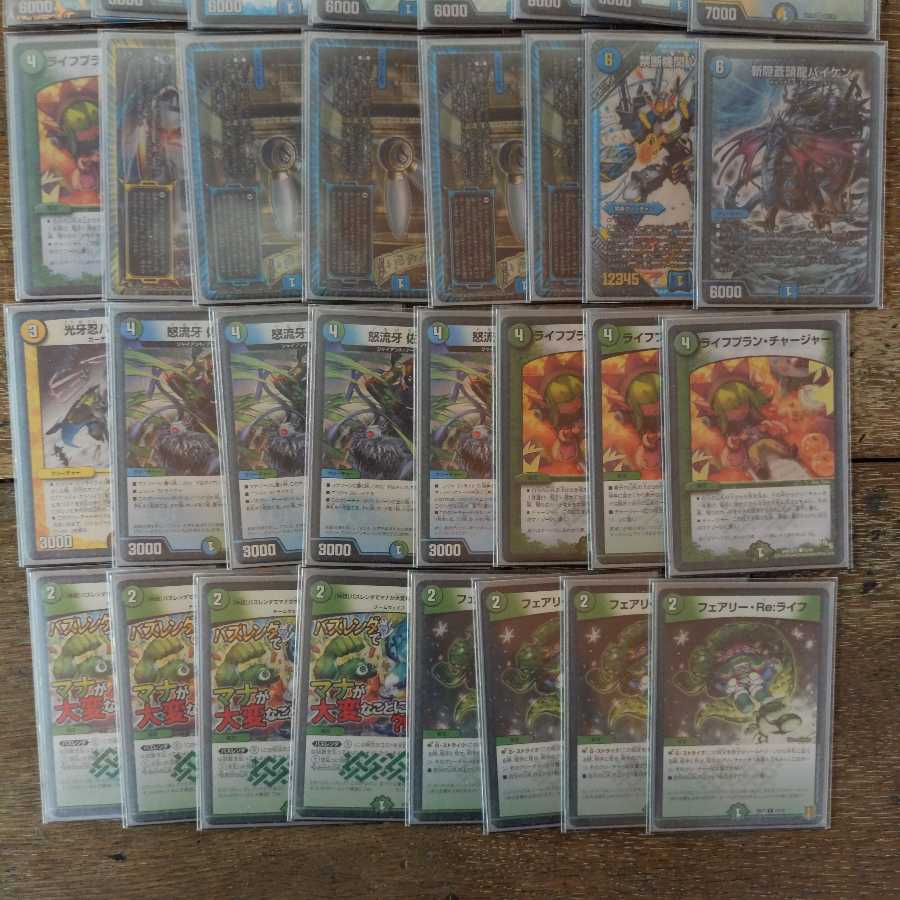 シノビシャコガイル