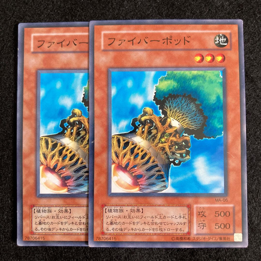 2期 ファイバーポッド#196