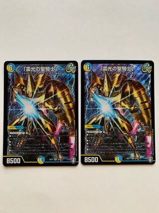 「雷光の聖騎士」