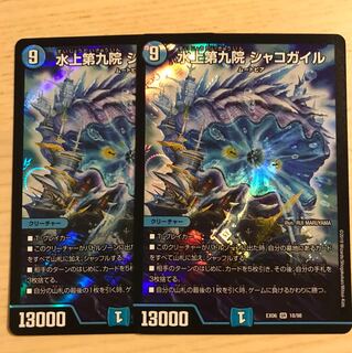 水上第九院 シャコガイル