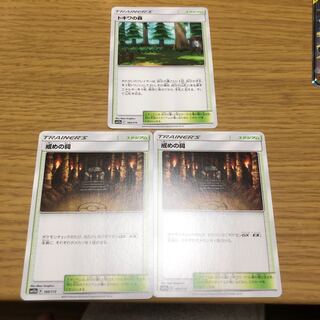 トキワの森　戒めの祠