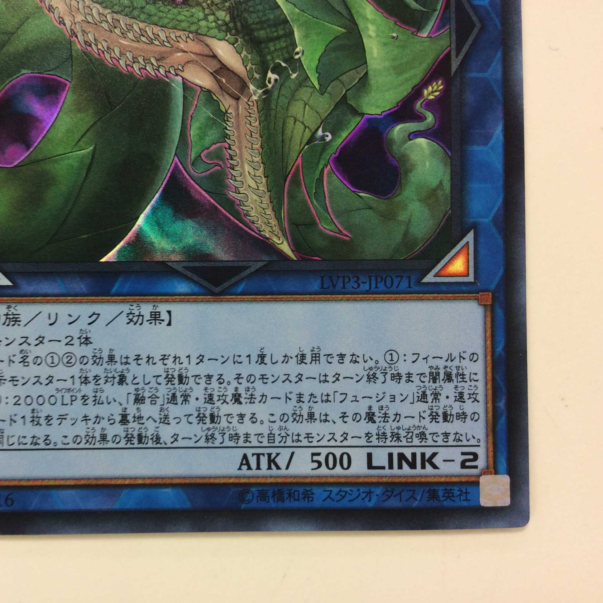 （美品）捕食植物ヴェルテ・アナコンダ　ウルトラレア