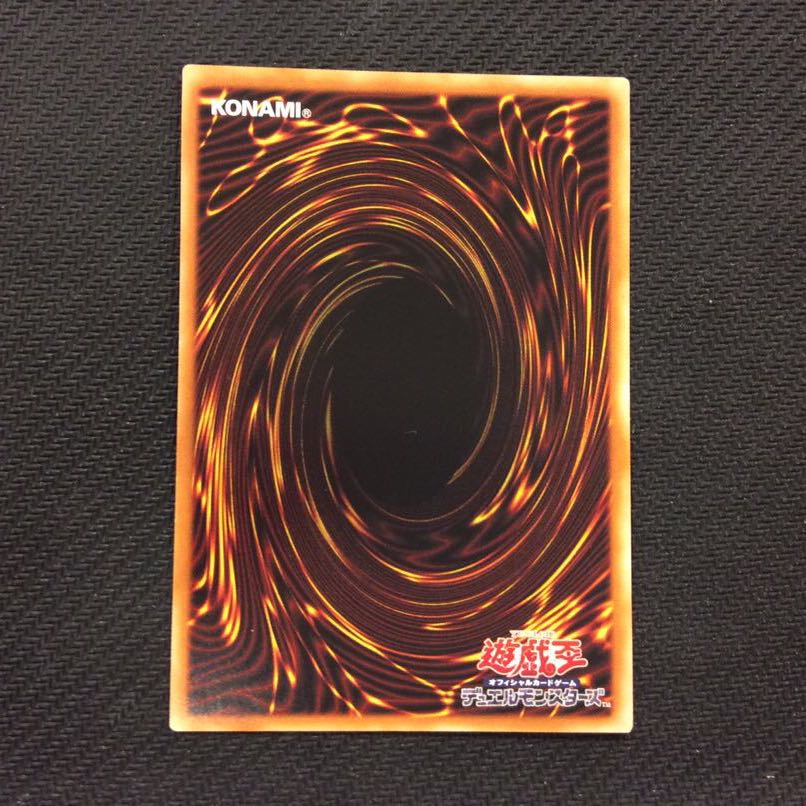 (微キズ)捕食植物ヴェルテ・アナコンダ ウルトラレア