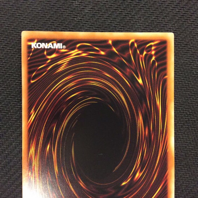 (微キズ)捕食植物ヴェルテ・アナコンダ ウルトラレア