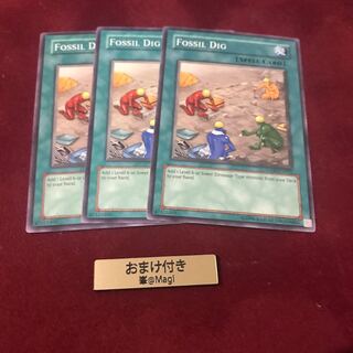 化石調査　英語ノーマル