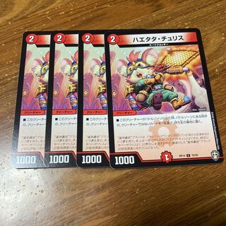 ハエタタ・チュリス　4枚