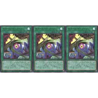 エコール・ド・ゾーン  ウルトラ 3枚 AC01021 ケイトレード