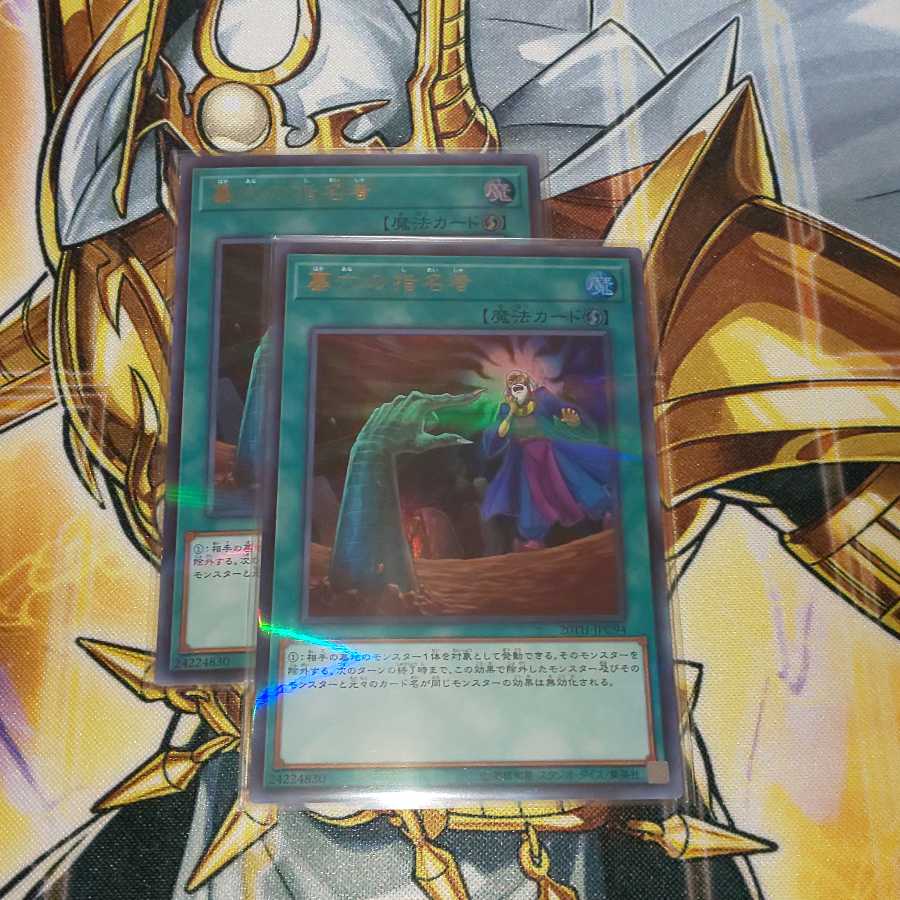 墓穴の指名者 パラレル ウルトレレア ２枚