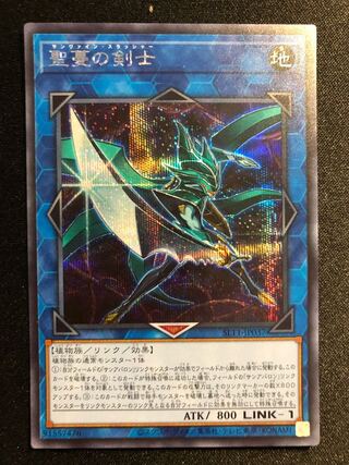 Yu-Gi-Oh! Sunvine Thrasher SE