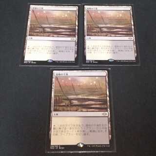 湿地の干潟　3枚セット