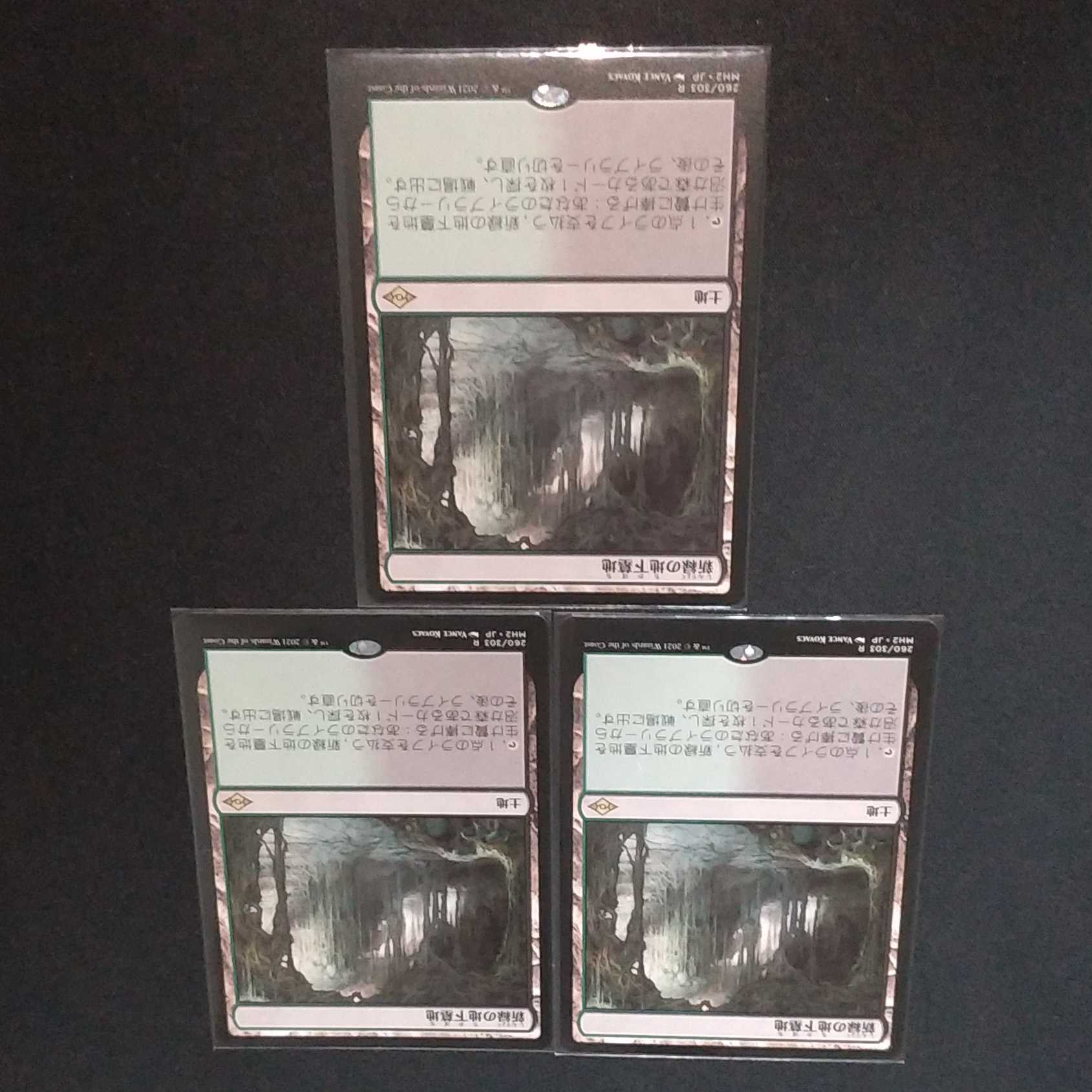 新緑の地下墓地3枚セット