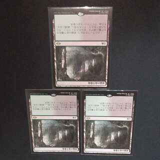 新緑の地下墓地3枚セット